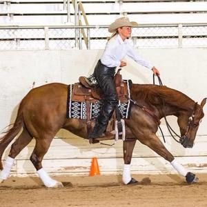 Meet your Posher, Kelly